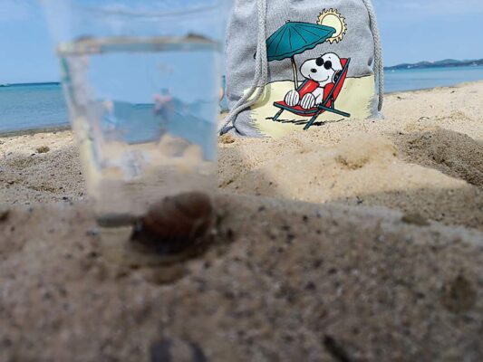 torba-ceger-za-plazu